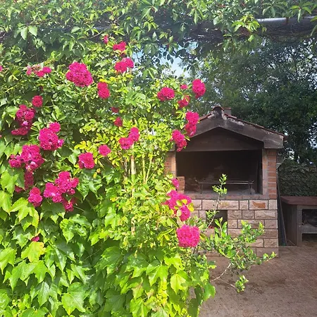 Apartament Melita *