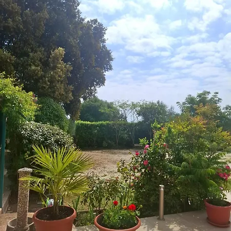 Apartament Melita Galižana