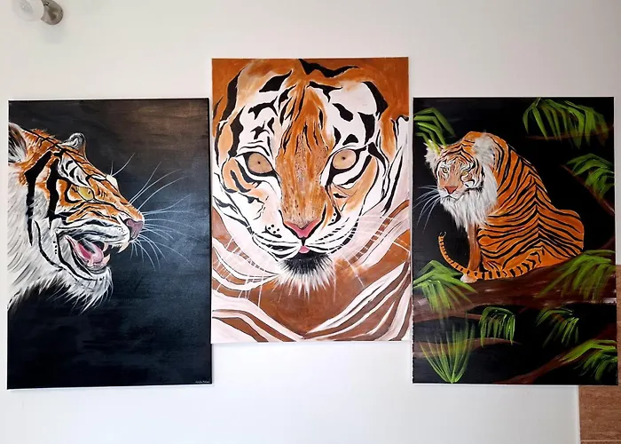 Daire Melita Galižana