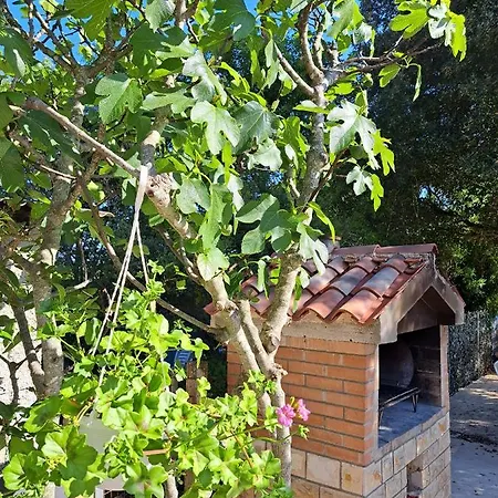 Melita Apartment Galižana