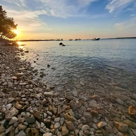 Melita * Galižana