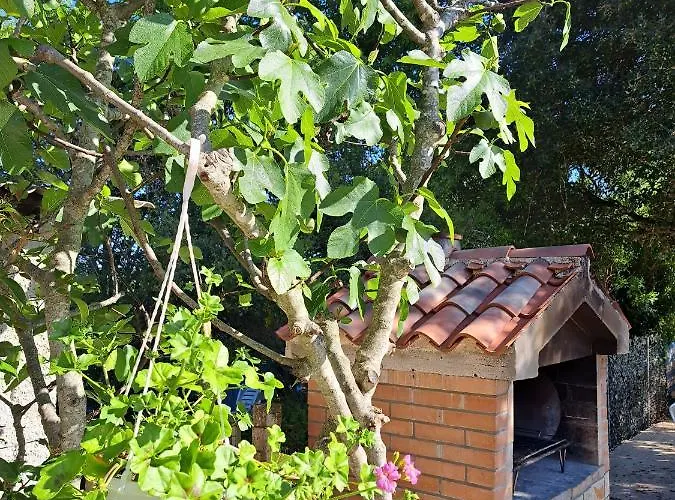 Melita Apartmán Galižana